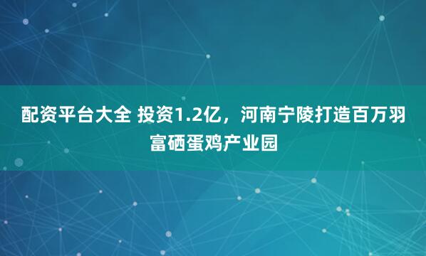 配资平台大全 投资1.2亿，河南宁陵打造百万羽富硒蛋鸡产业园