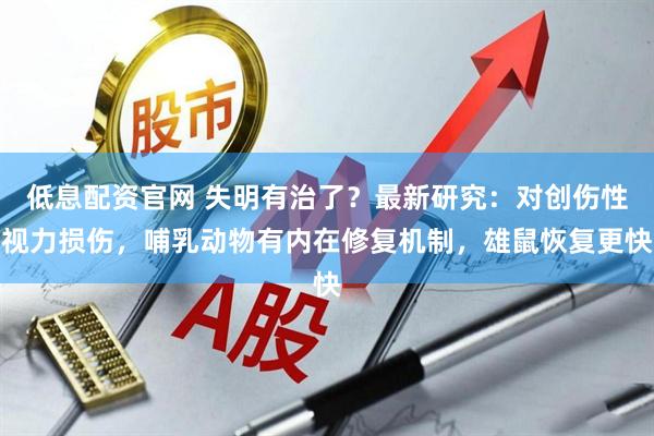 低息配资官网 失明有治了？最新研究：对创伤性视力损伤，哺乳动物有内在修复机制，雄鼠恢复更快