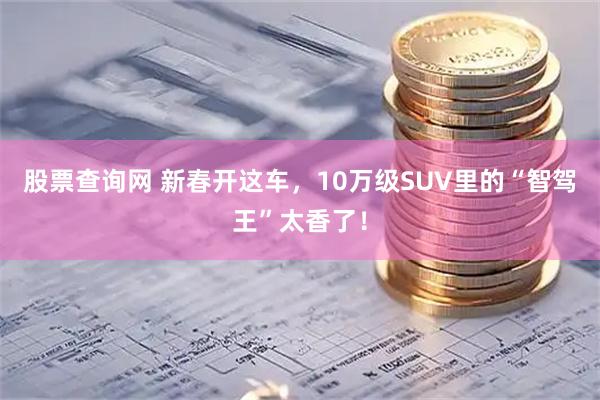 股票查询网 新春开这车，10万级SUV里的“智驾王”太香了！